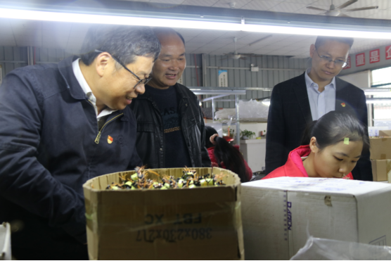 beat365手机版官网入口